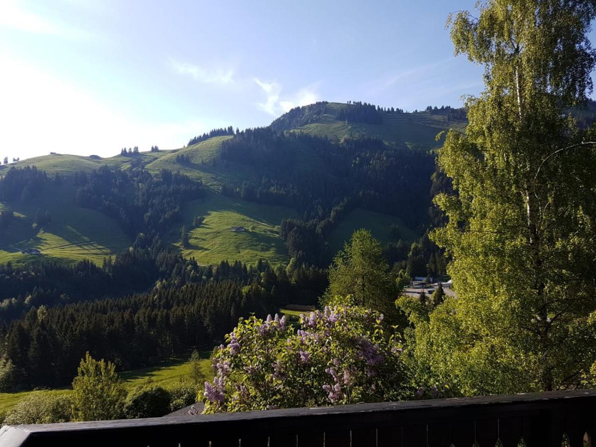 Charming Chalet With Panoramic View And Private Parking In Gruyere Грюйер Экстерьер фото