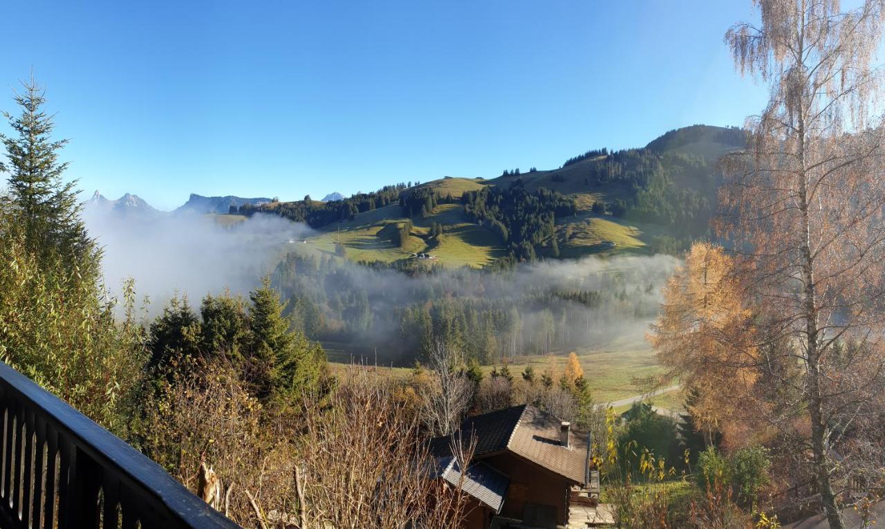 Charming Chalet With Panoramic View And Private Parking In Gruyere Грюйер Экстерьер фото